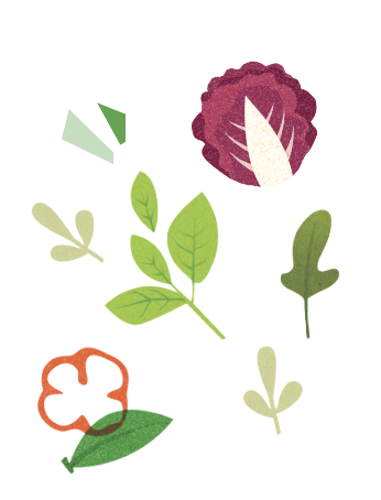 Légumes composteur