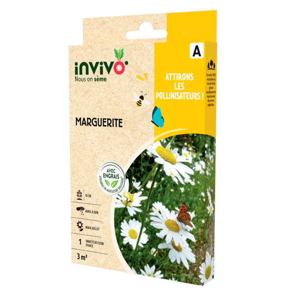 MARGUERITE