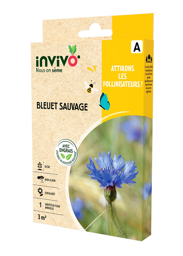 Bleuets sauvages
