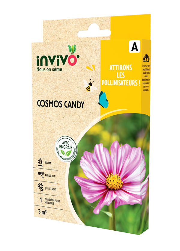 Cosmos candy